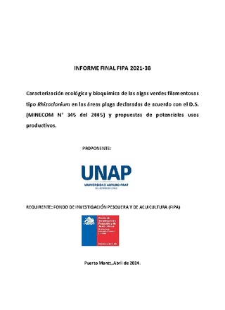 Informe final