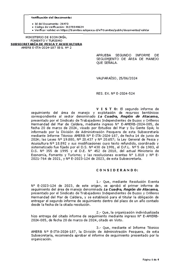 RES. EX. Nº E-2024-524 Aprueba segundo informe de seguimiento. (Publicado en Página Web 25-06-2024)