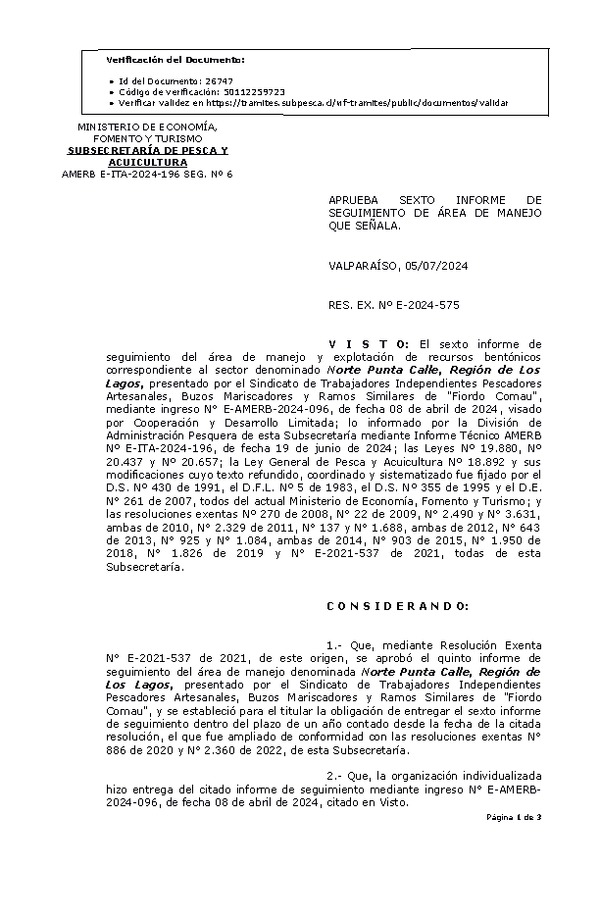 RES. EX. Nº E-2024-575, Aprueba sexto informe de seguimiento. (Publicado en Página Web 05-07-2024)