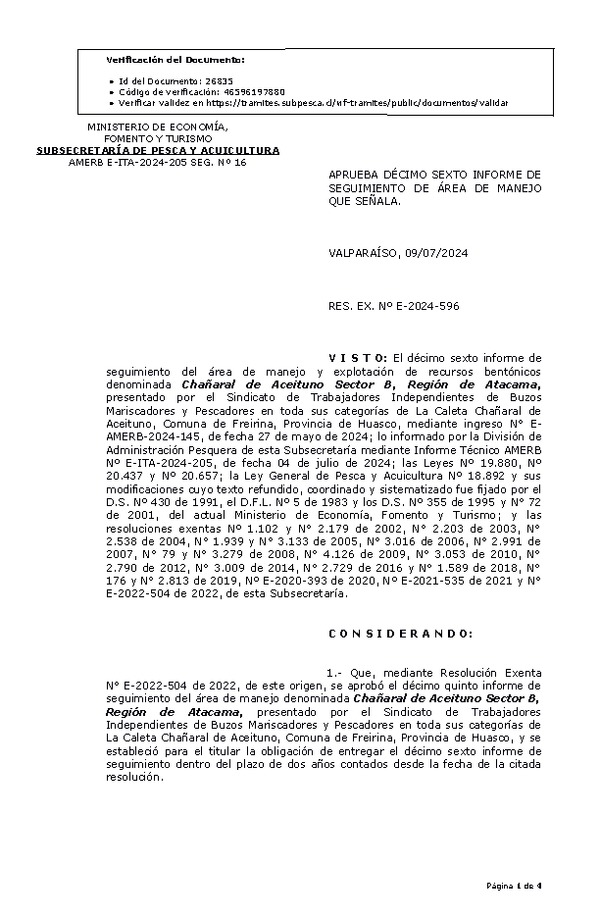 RES. EX. Nº E-2024-596 Aprueba décimo sexto informe de seguimiento. (Publicado en Página Web 11-07-2024)