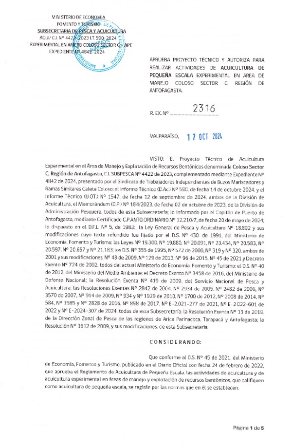 Res. Ex N° 2316-2024 Aprueba proyecto técnico y autoriza para realizar actividades de acuicultura de pequeña escala experimental en Área de manejo Coloso Sector C, Región de Antofagasta. (Publicado en Página Web 18-10-2024)