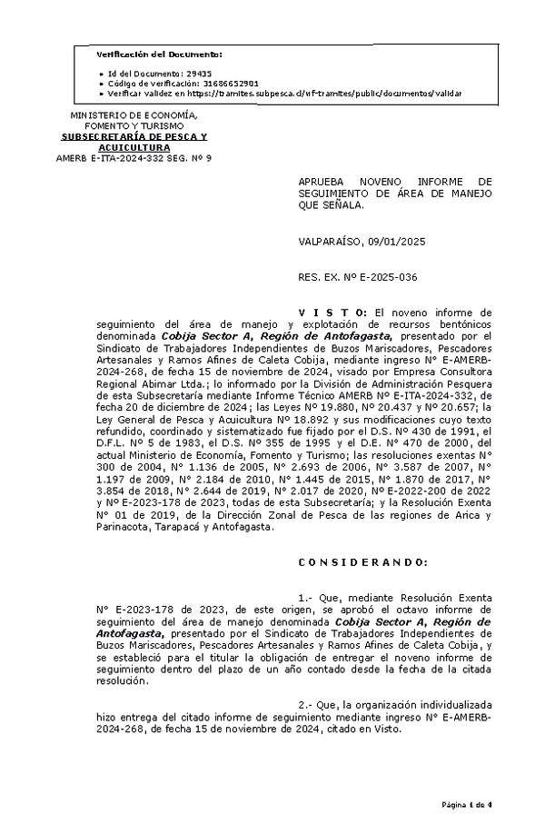 RES. EX. Nº E-2025-036 Aprueba noveno informe de seguimiento. (Publicado en Página Web 09-01-2025)
