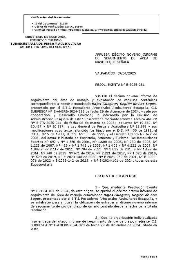 RESOL. EXENTA Nº E-2025-281 Aprueba décimo noveno informe de seguimiento. (Publicado en Página Web 10-04-2025)