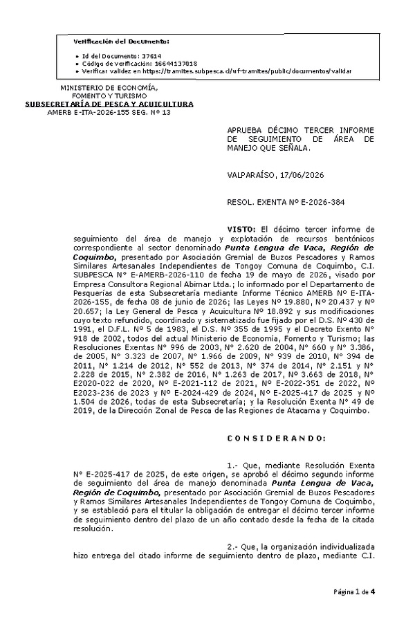 RESOL. EXENTA Nº E-2026-384 Aprueba décimo tercer informe de seguimiento. (Publicado en Página Web 18-06-2026)
