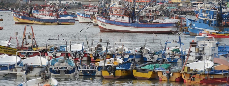 Subsecretario Urrutia destaca necesidad de fortalecer la gestión sostenible frente a desafíos de la sobrepesca